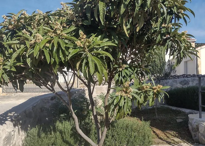 Apartment Olea