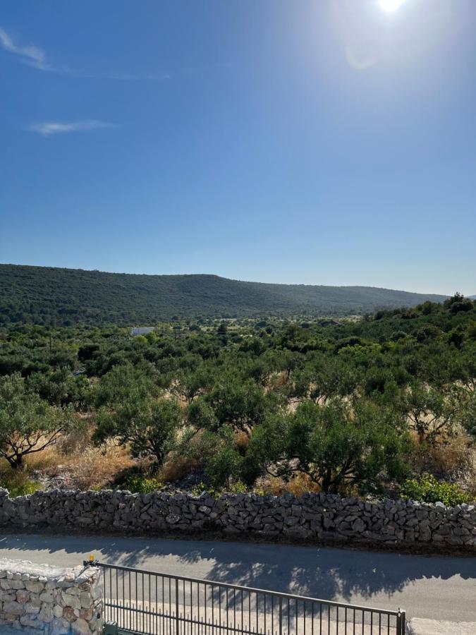 Appartement Olea *