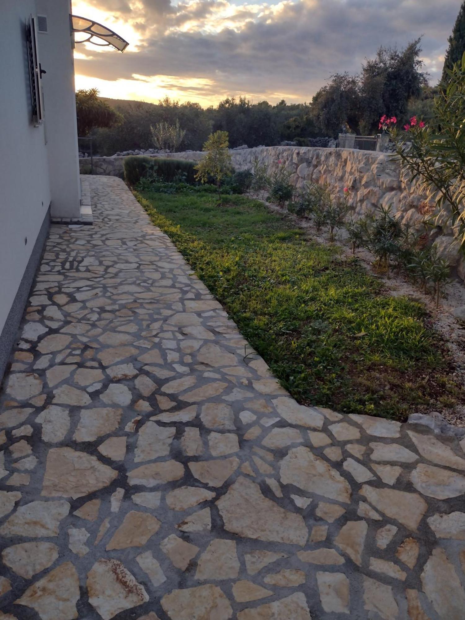 Olea * Marina