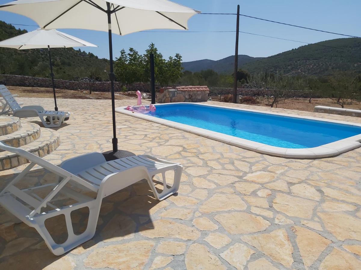 Olea Marina