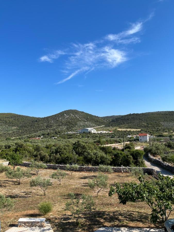 Apartment Olea Marina