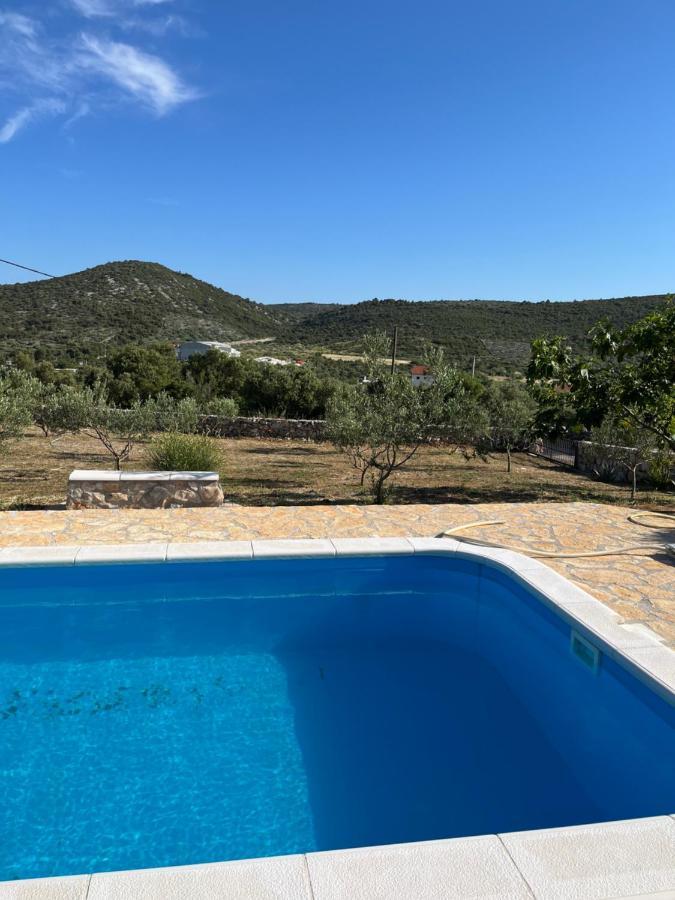 Olea