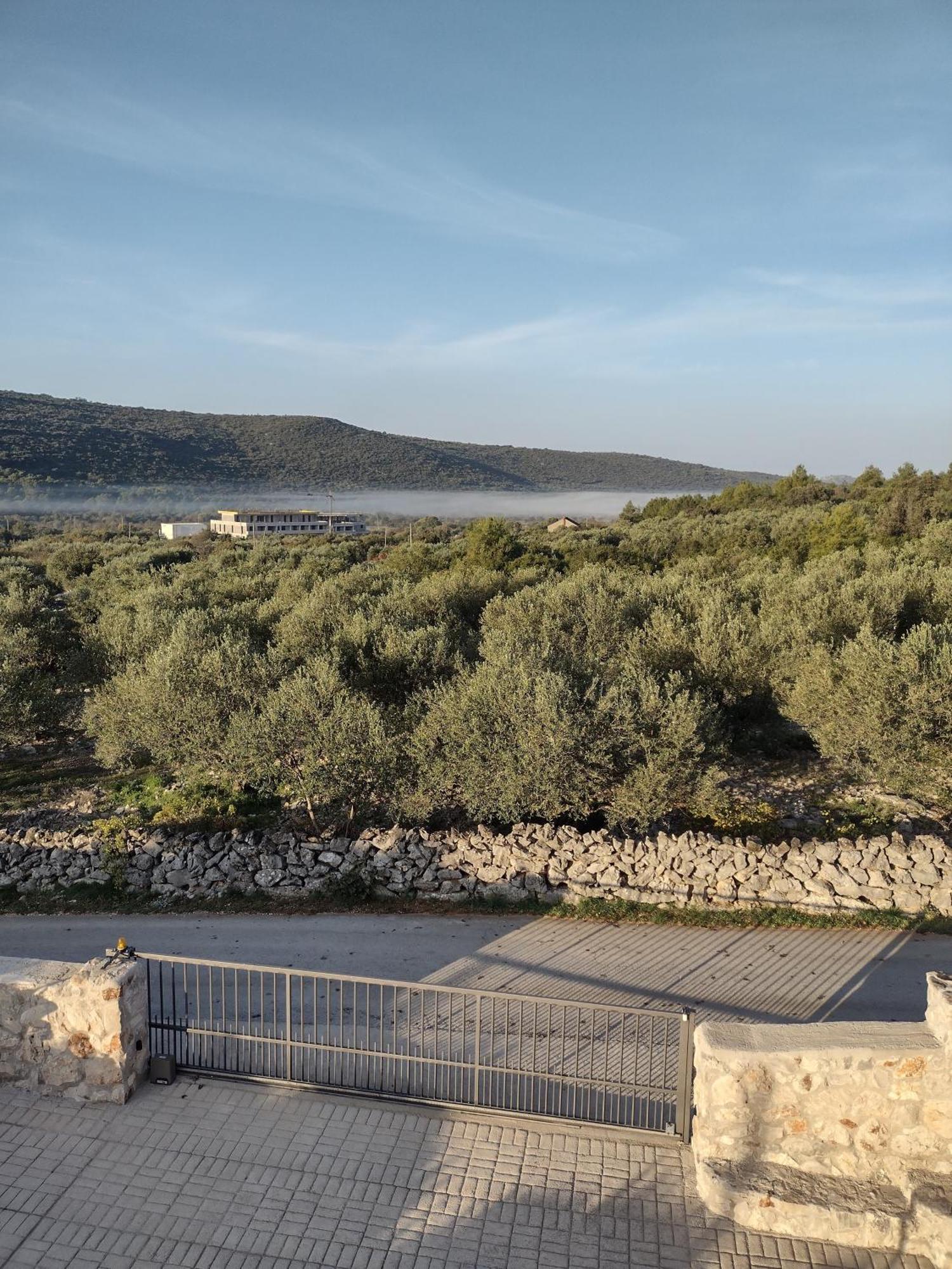 Olea Lägenhet Marina