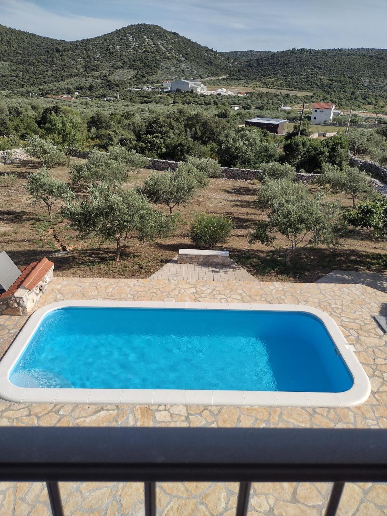 Olea